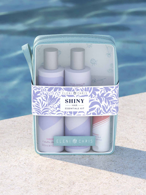 Load image 1 in gallery view. Shiny Essentials Kit 2025