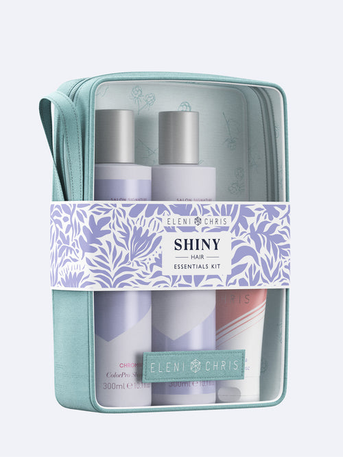 Load image 1 in gallery view. Shiny Essentials Kit 2025